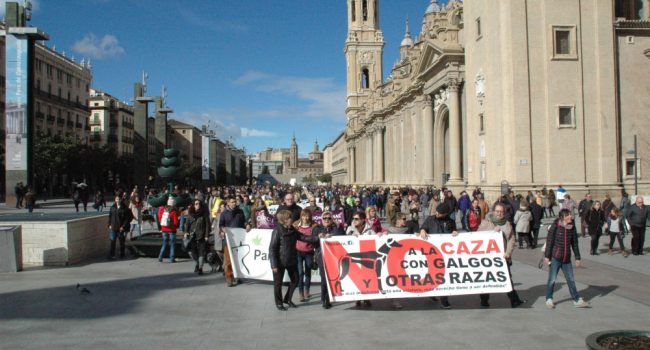 Foto: Plataforma NAC