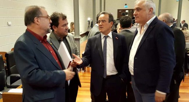 Pleno DPZ
