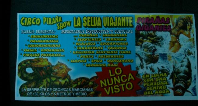 Foto: CHA