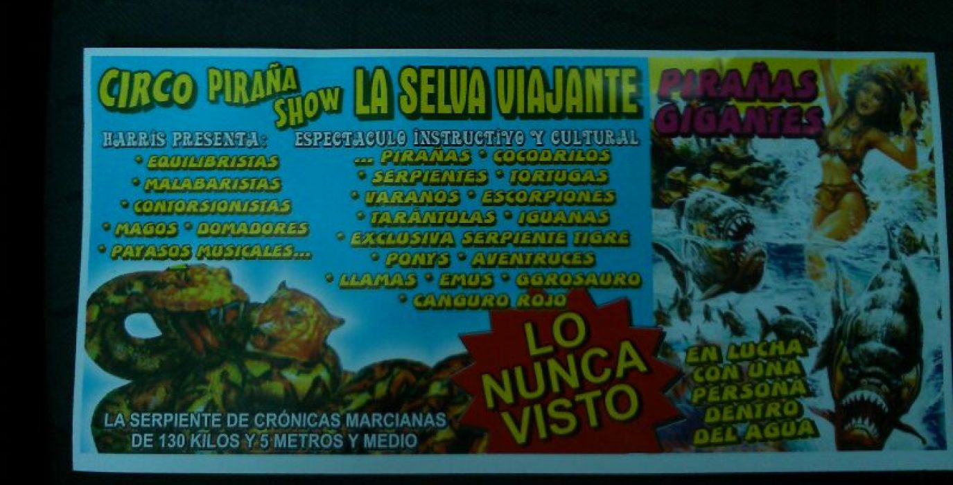 Foto: CHA
