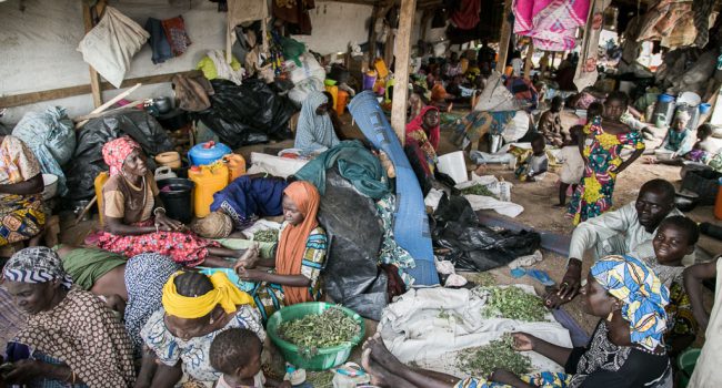 Pulka, Nigeria. Foto: MSF