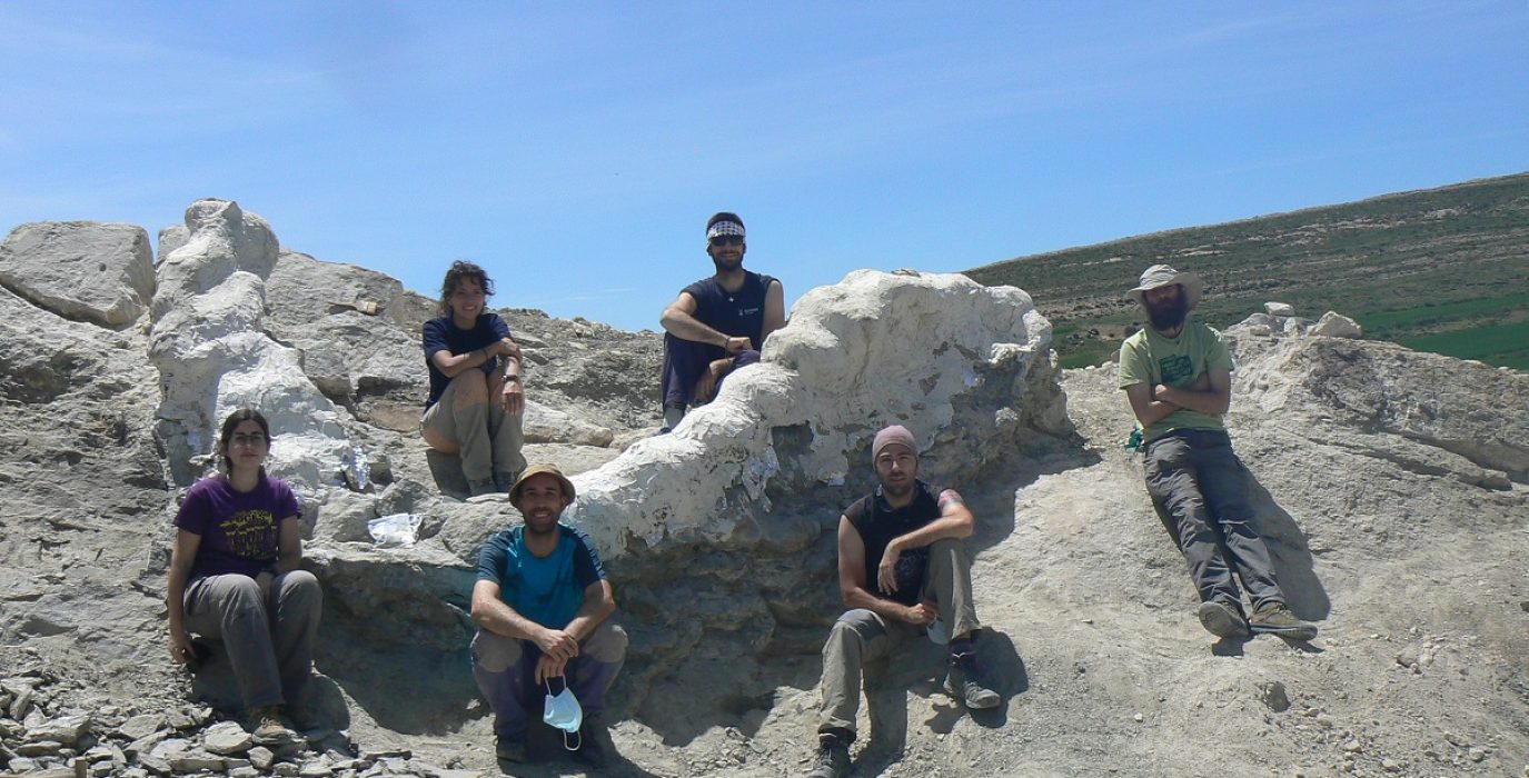 Recuperada en Camarillas Comunidad de Teruel una columna vertebral de un dinosaurio gigante de una nueva especie 1
