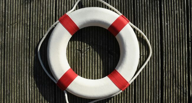 Foto: Regine Tholen unsplash