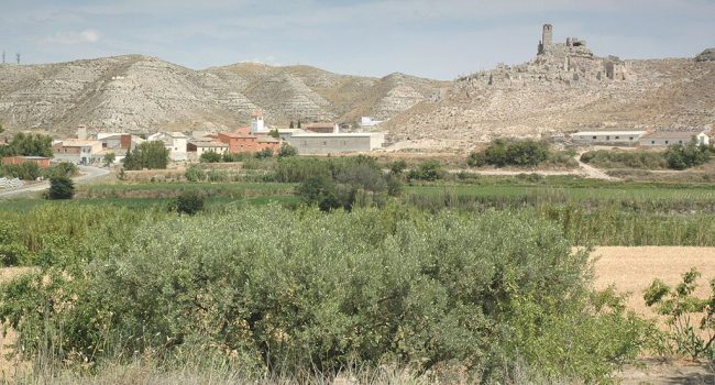 Rodén. Foto: Motacillo (CC BY-SA 3.0)