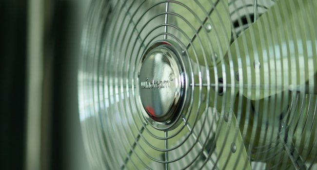 Foto: Roy Muz en unsplash