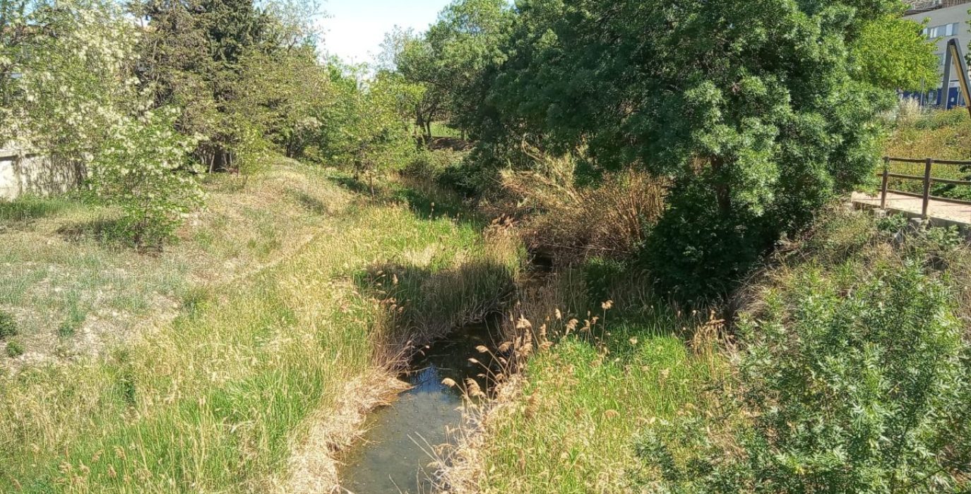 Río Huerva en Cadrete | Foto: IU.