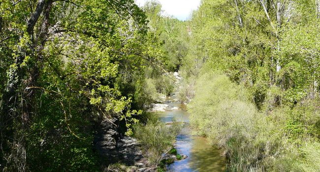 Río Mijares: Foto: Aperucho123 (CC)