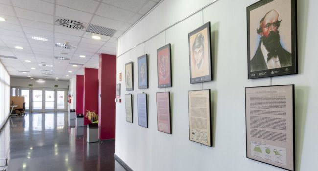 Centro Cívico Casetas | Foto: Ayuntamiento de Zaragoza.