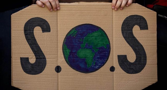 Foto: Greenpeace