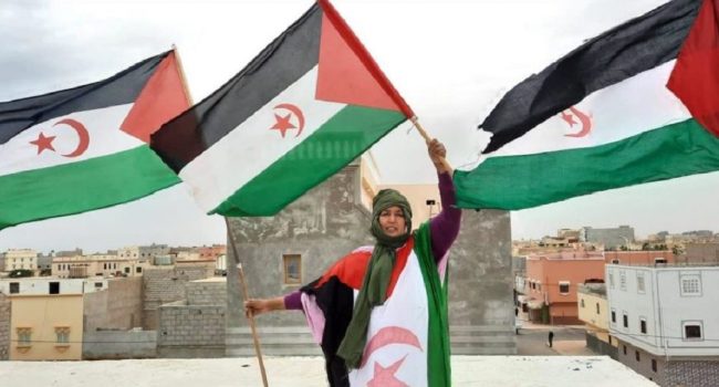 Sahara Occidental Defensores Estadounidenses e Internacionales de los Derechos de la Mujer familia Khaya de Bojador
