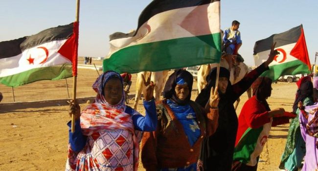 Mujeres saharauis. Foto: Sahara Press Service.