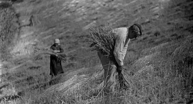 Fotograma de "Sueños Colectivos".