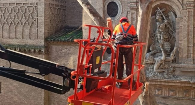 Tala en la plaza San Miguel de Zaragoza | Foto: Ecologistas en Acción