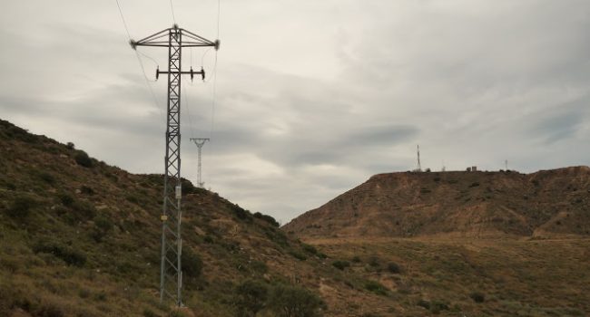 Tendido eléctrico donde se encontraron las aves muertas.
