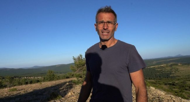 Teruel Existe denuncia que con el Clúster Maestrazgo se talarían dos millones de árboles