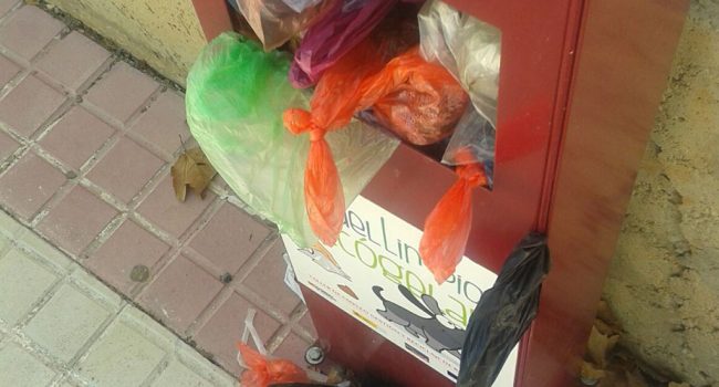 Estado de la papelera del Parque para perros.