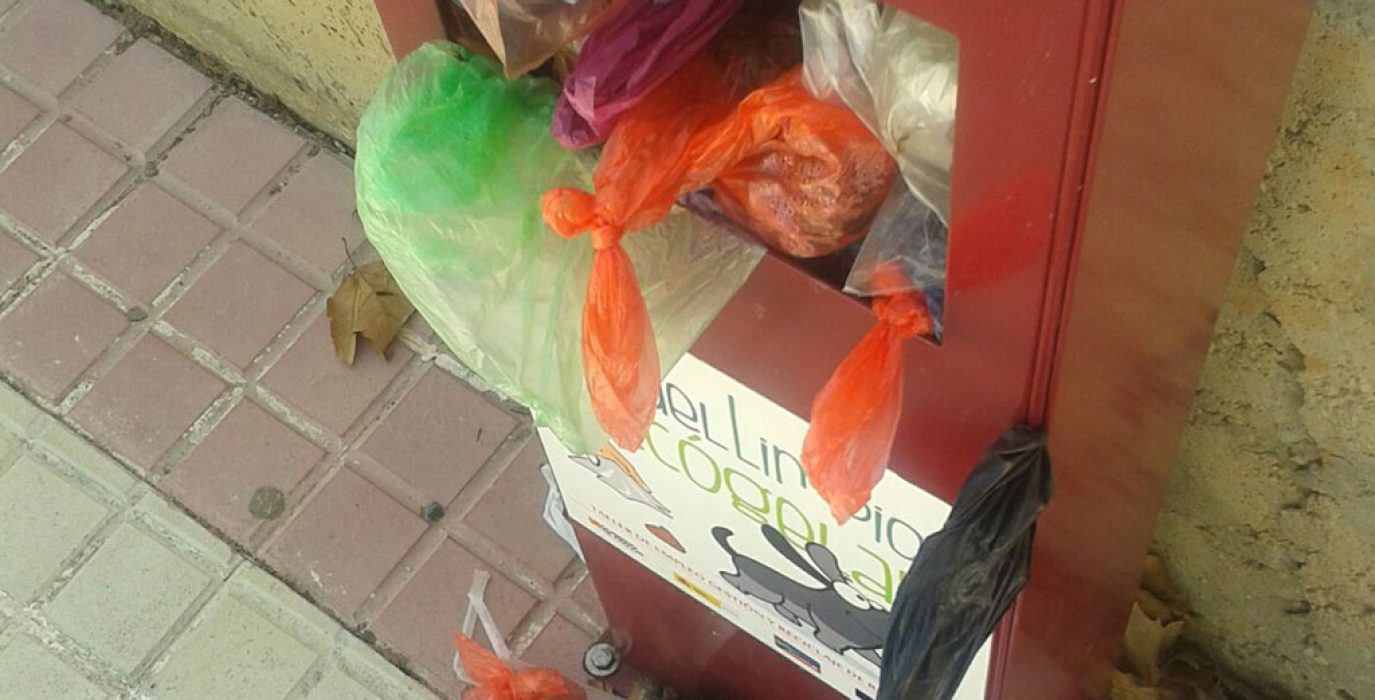 Estado de la papelera del Parque para perros.
