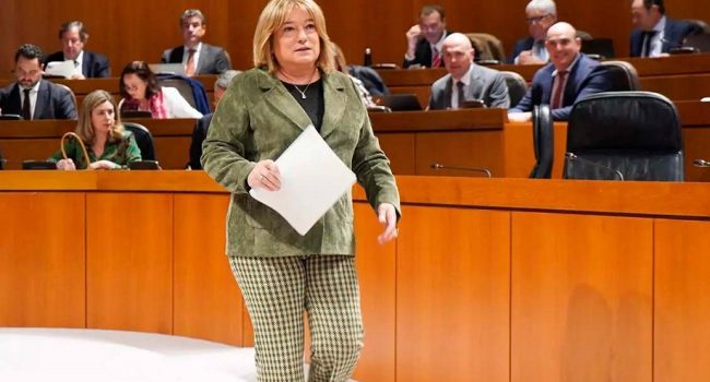 STEA: “Cambia la consejera pero no la política educativa. Continúan los recortes en la educación pública y el menosprecio a sus docentes”