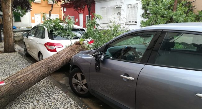 La tormenta ha causado daños en diversos puntos de Zaragoza.