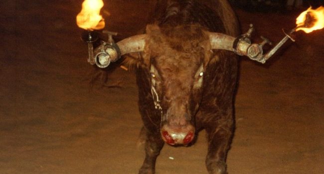 Fuente: Veoverde