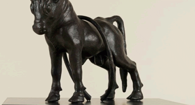 Toro de Azaila.