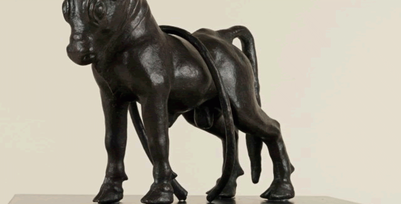 Toro de Azaila.