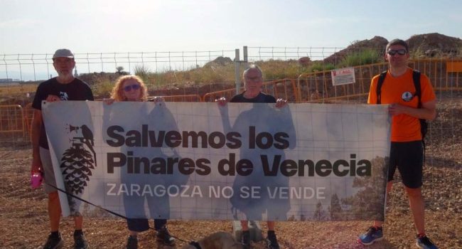 Representantes de la Plataforma 'Salvemos los Pinares de Venecia' protestan junto a las obras del centro de datos de Microsoft.