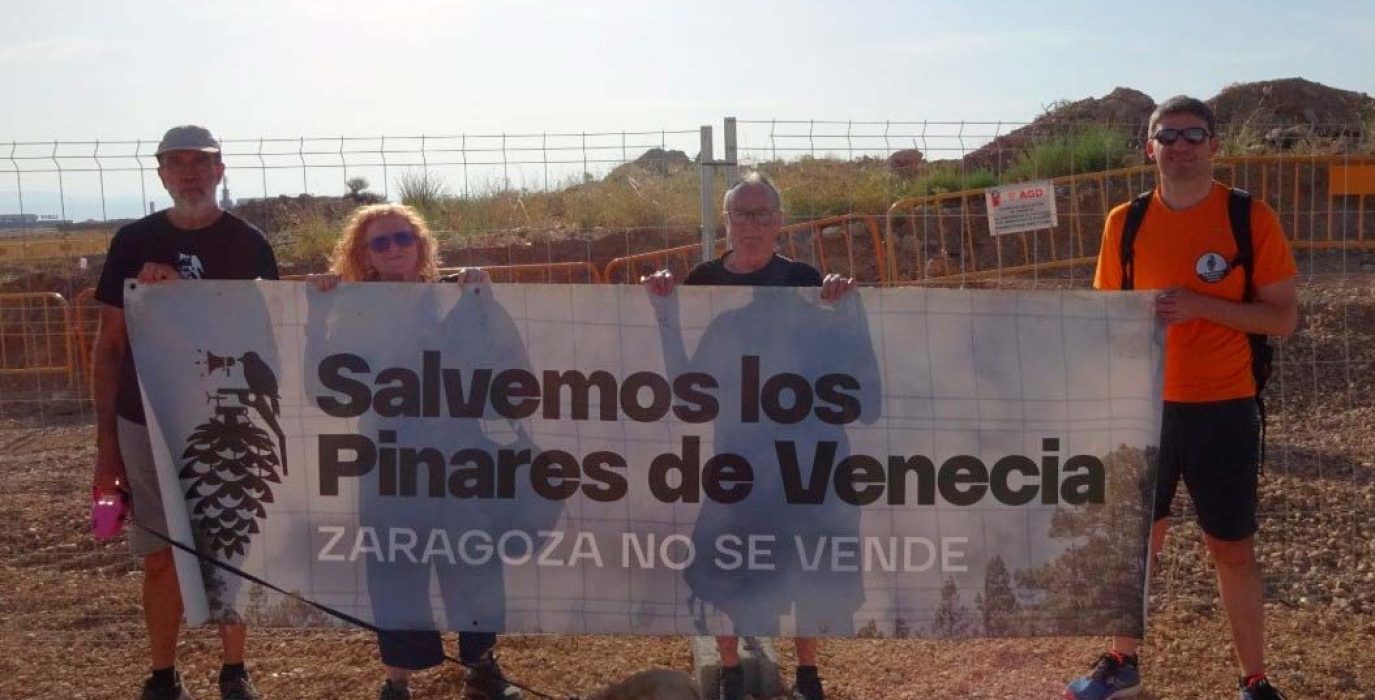 Representantes de la Plataforma 'Salvemos los Pinares de Venecia' protestan junto a las obras del centro de datos de Microsoft.