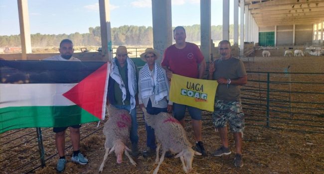 Miembros de Casa Palestina de Aragón, incluido su presidente Ibrahim Abiat, reciben los corderos de manos de José María Alcubierre, secretario general de UAGA-COAG | Foto: UAGA