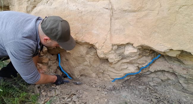 Una d'as numerosas icnitas, conservadas en forma de contra molde -sinyalau en contorno-, trobadas per primera vegada en Jorcas | Foto: DChA