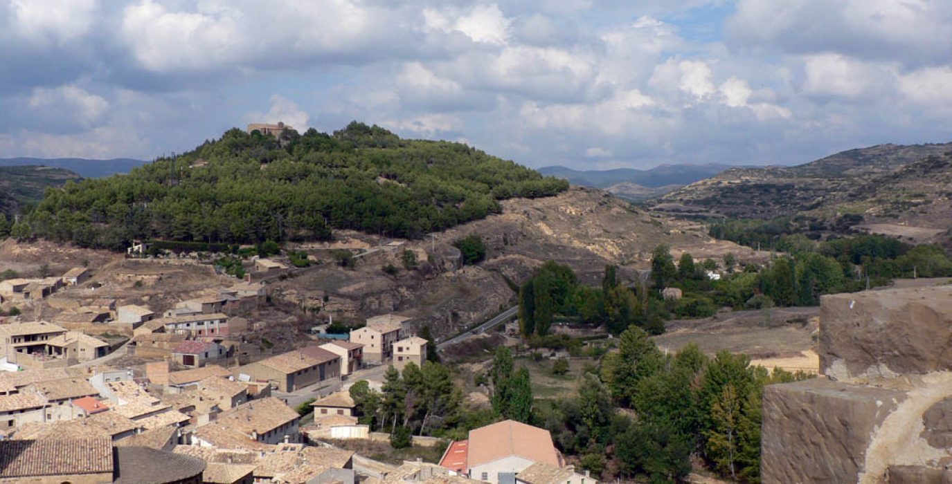 Biota