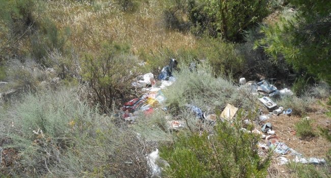 Vertedero ilegal entre Fraga y Torrent d'a Cinca. Foto: IU