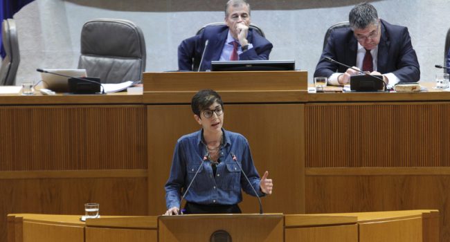 Violeta Barba, en una intervención en las Cortes. Foto: Cortes