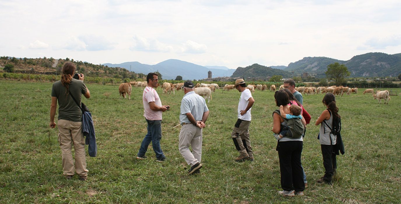 Visita al Sobrarbe de la Asociación El Licinar. Foto: Asociación El Licinar.
