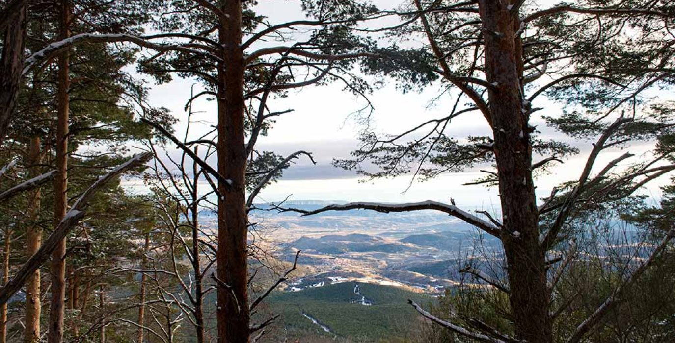 Cerca de la comarca donde se encuentra el Moncayo se encuentra Noviercas . En la foto se pueden ver árboles y terrenos de cultivo