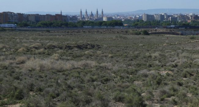 Foto: E. Pelayo / ANSAR