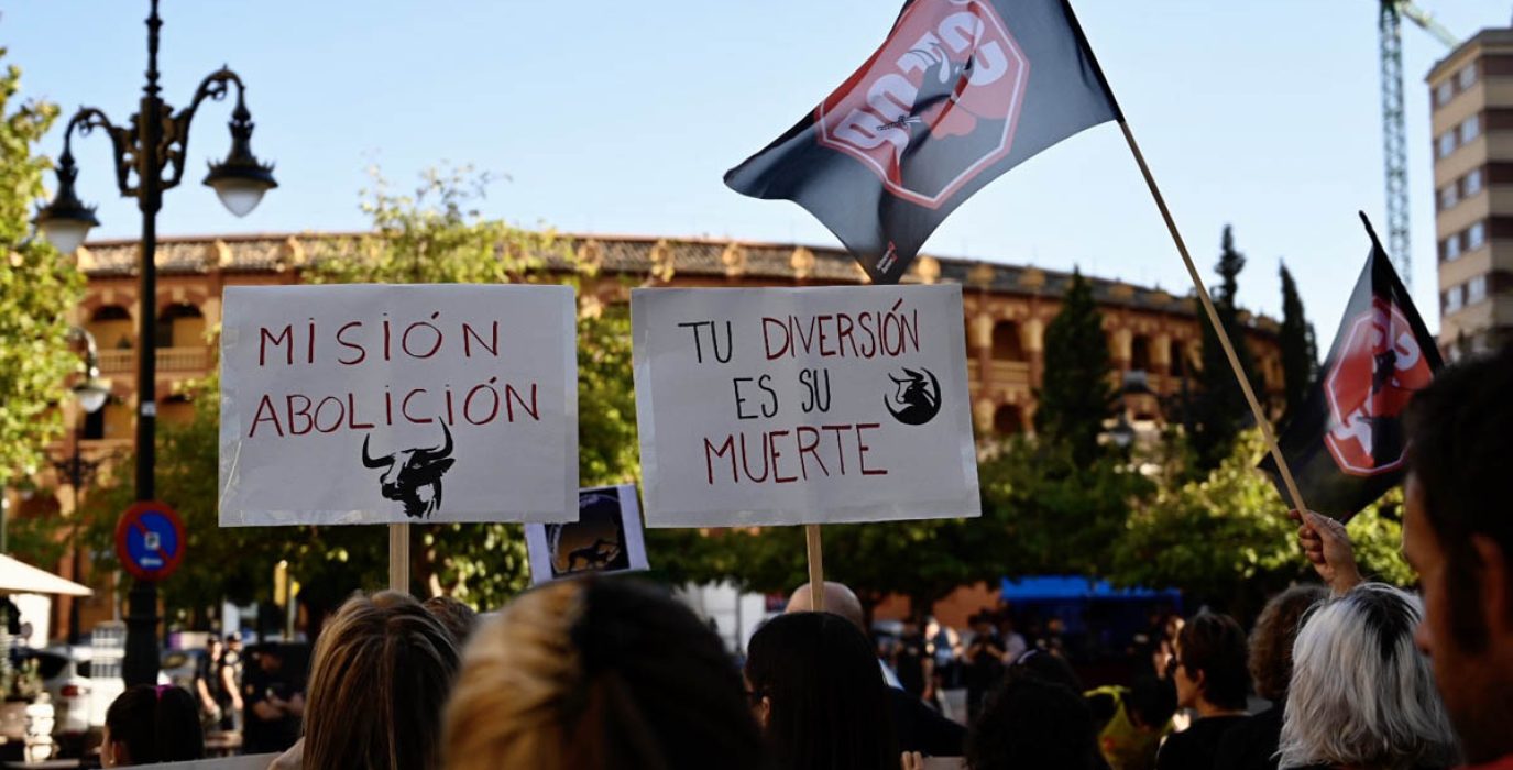Manifestación antitaurina de Zaragoza en los pasados Pilares | Foto: Cris Aznar