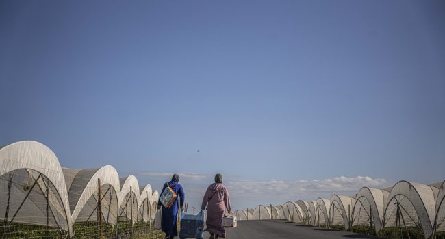Trabajadoras marroquíes con su compra en una carretera de Huelva | Foto: Pablo Tosco / Oxfam Intermón