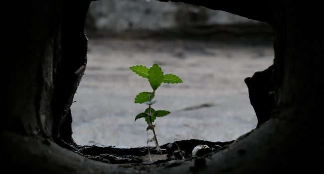 Foto: Yuki Liu unsplash