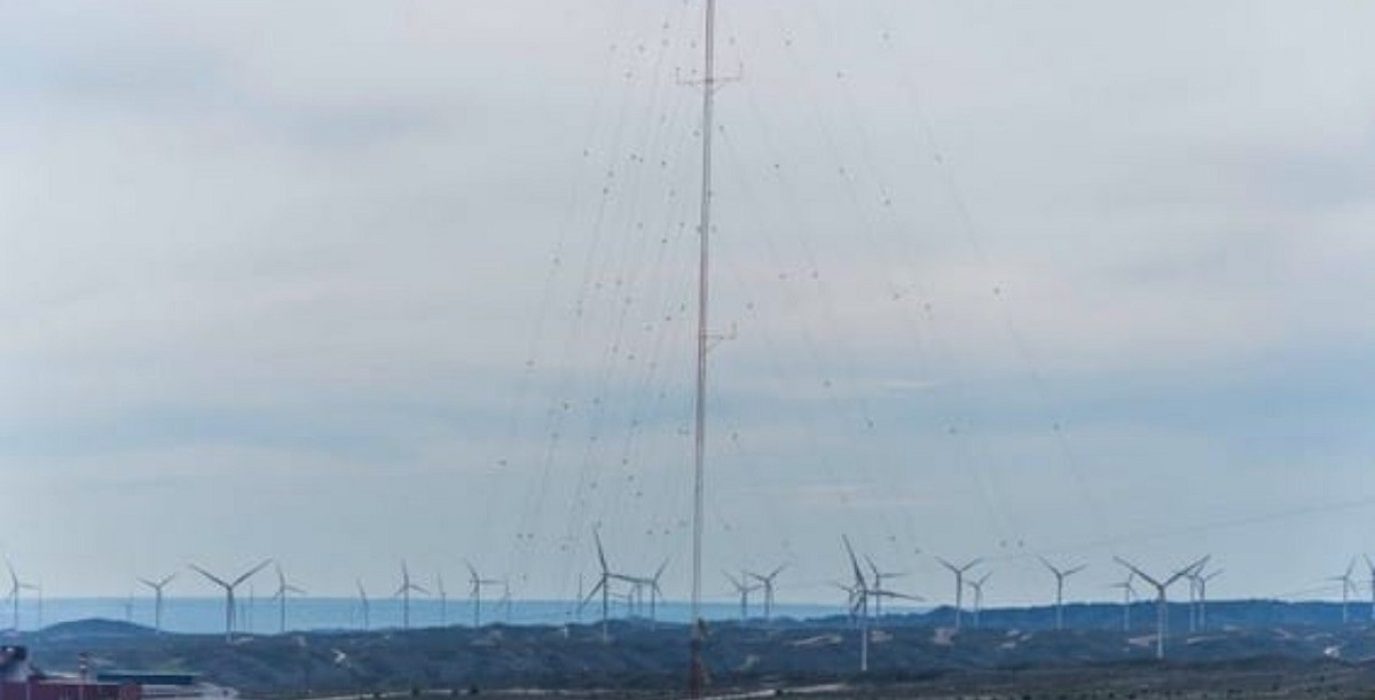 Zaragoza en Común solicita la protección de la fauna y el paisaje ante la prórroga de la antena del Parque Eólico Montañés