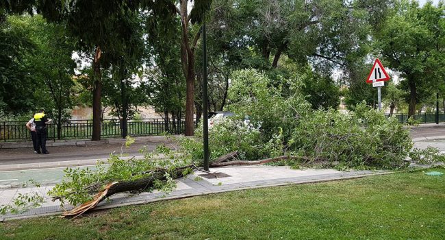 Efecto de la tormenta en el barrio de Torrero. Foto: @arainfonoticias