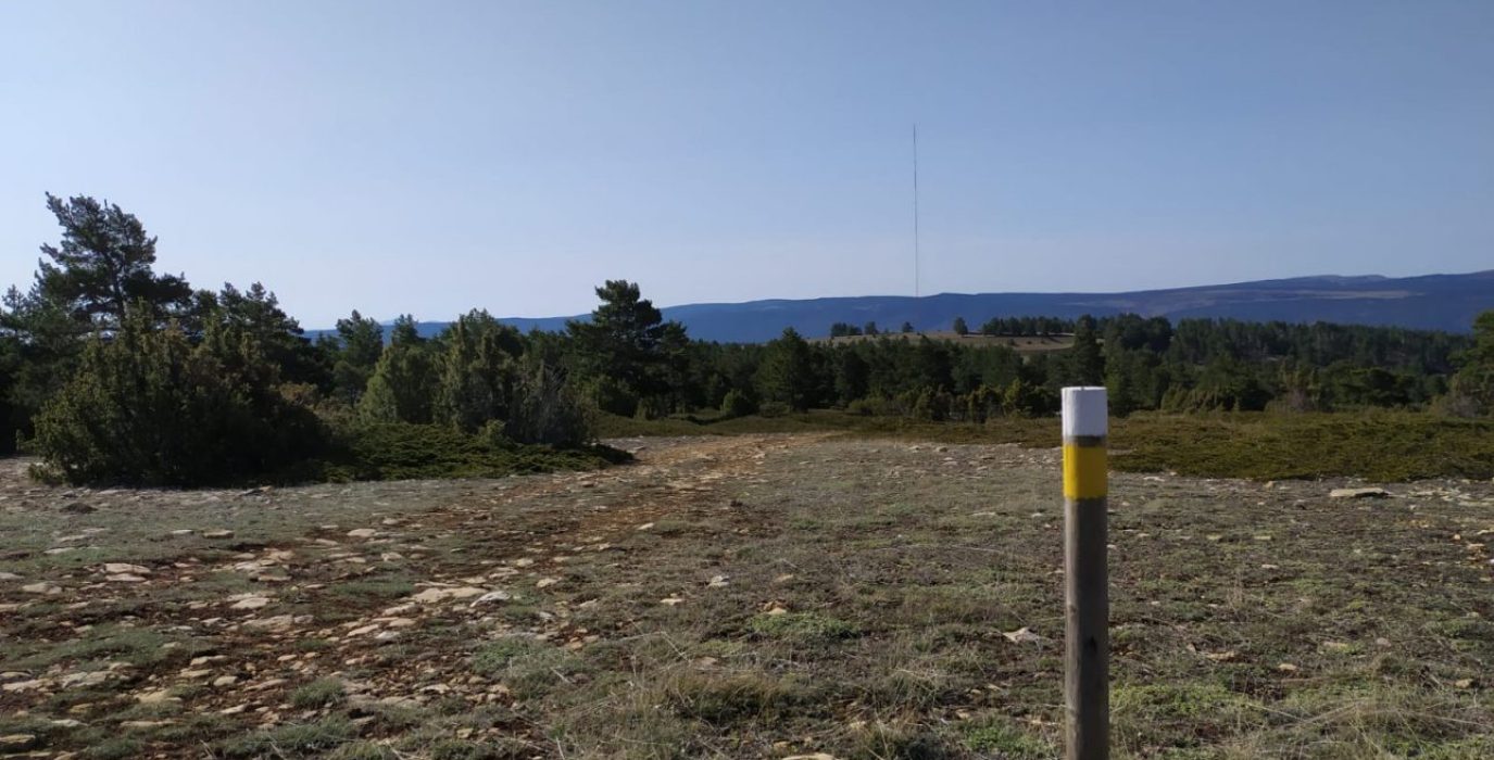 Zona de Capellanía en Fortanete, donde va una de las centrales eólicas del Cluster Maestrazgo | Foto: Plataforma A favor de los paisajes de Teruel