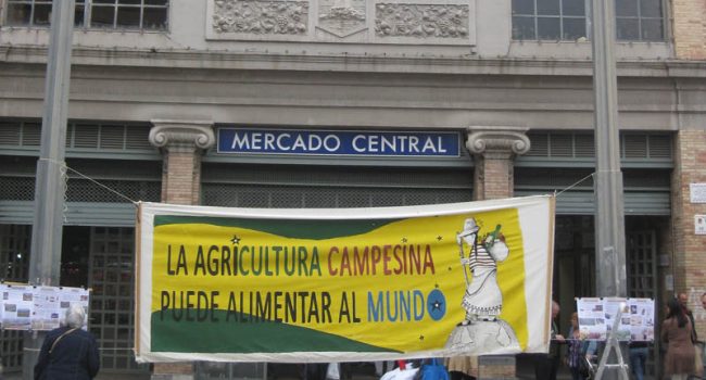 Foto: Mercat de la terra