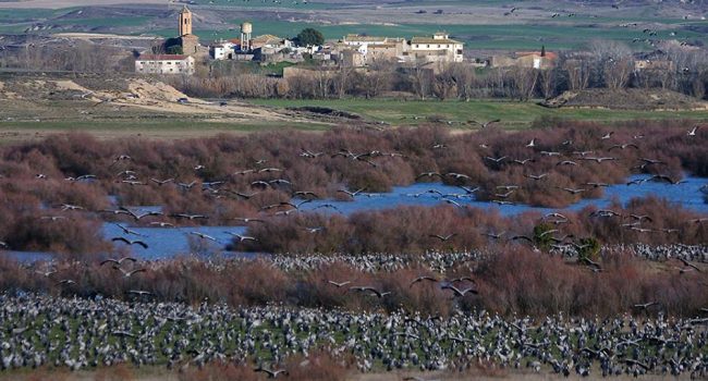 Foto: Centro de la Naturaleza ‘Alberca de Alboré’
