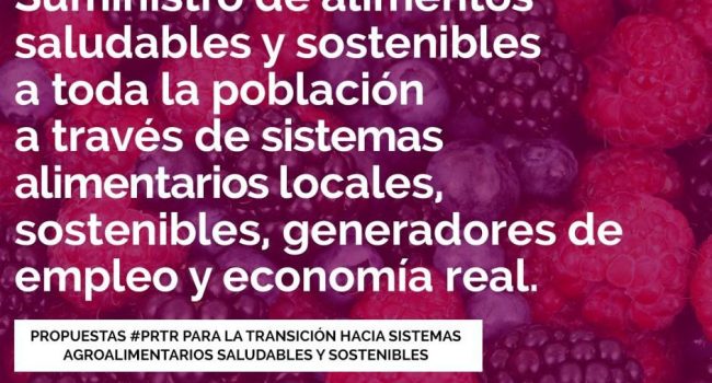 alimentos
