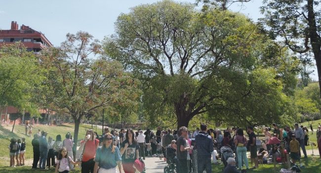 almez litonero Parque Bruil Zaragoza Aragón