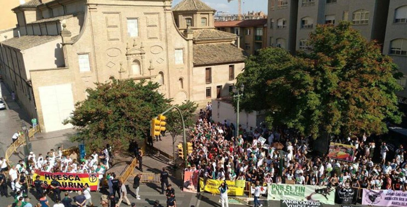 Foto: Amnistía Animal y Huesca Antitaurina
