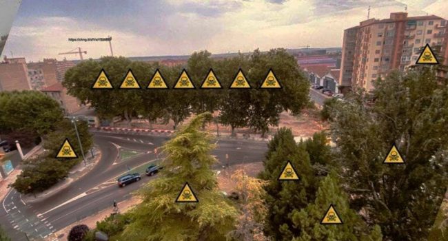Ubicación de afecciones en arbolado monumental. | Foto: La Asociación de Amigos del jardín antigua Fuente del Ibón