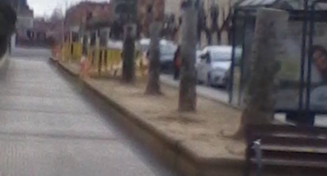Foto: Carmen Raso