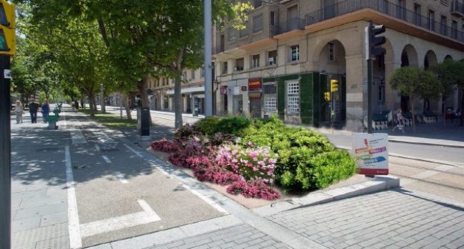 arboles talados gran via